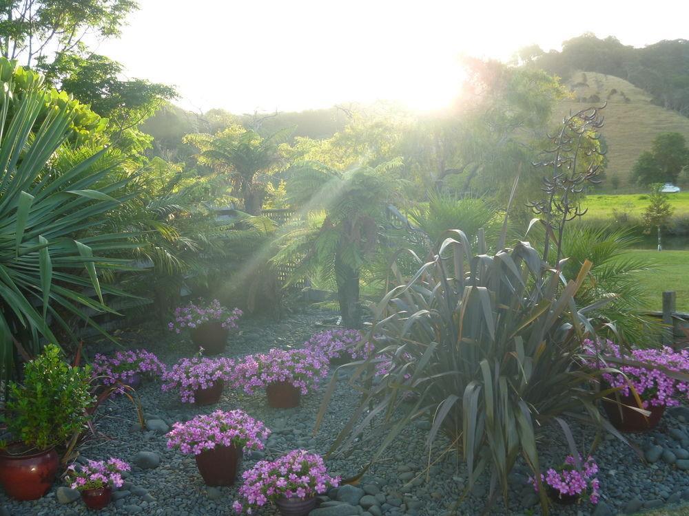 At Parkland Place B&B Whitianga Extérieur photo