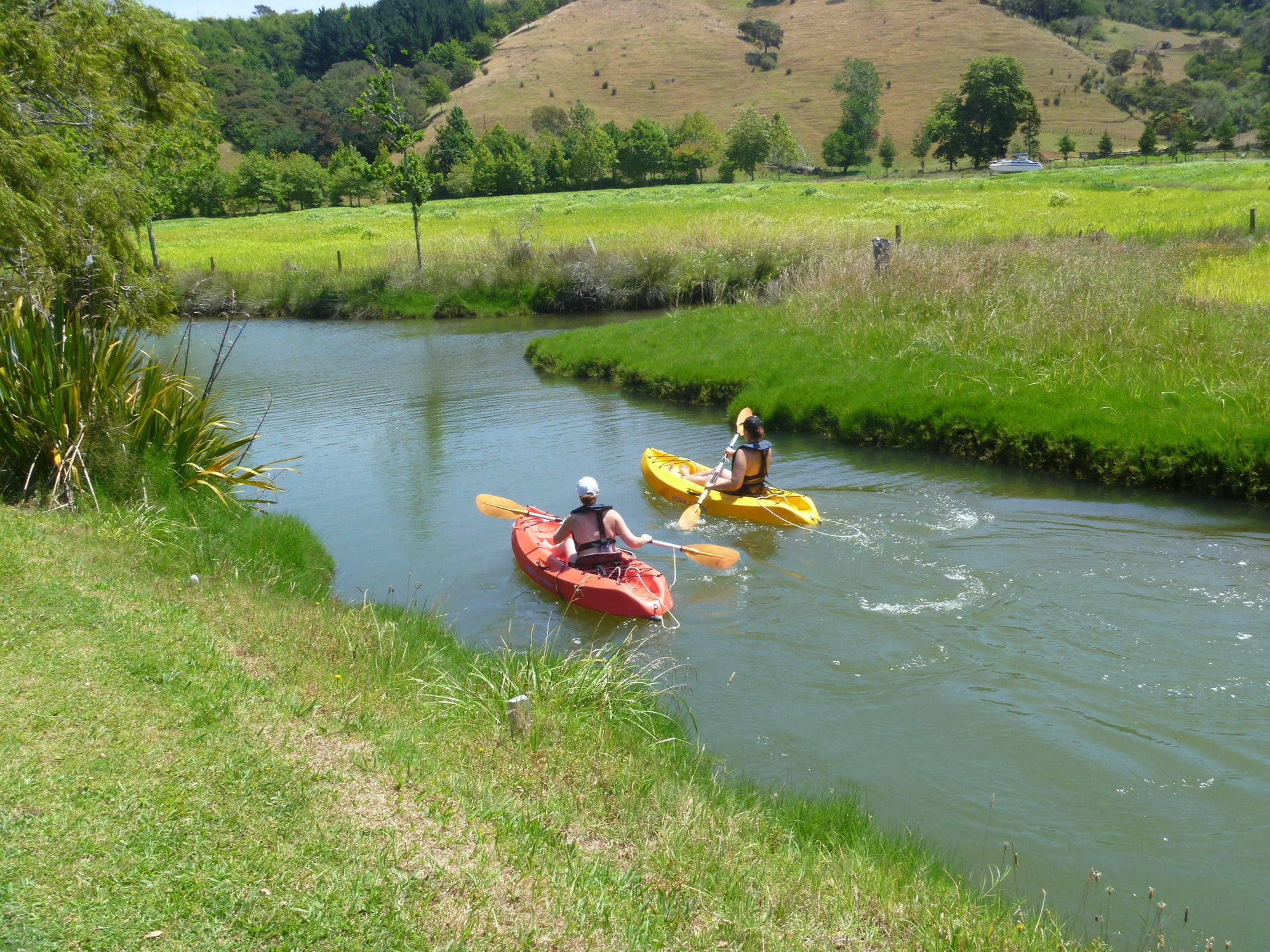 At Parkland Place B&B Whitianga Extérieur photo