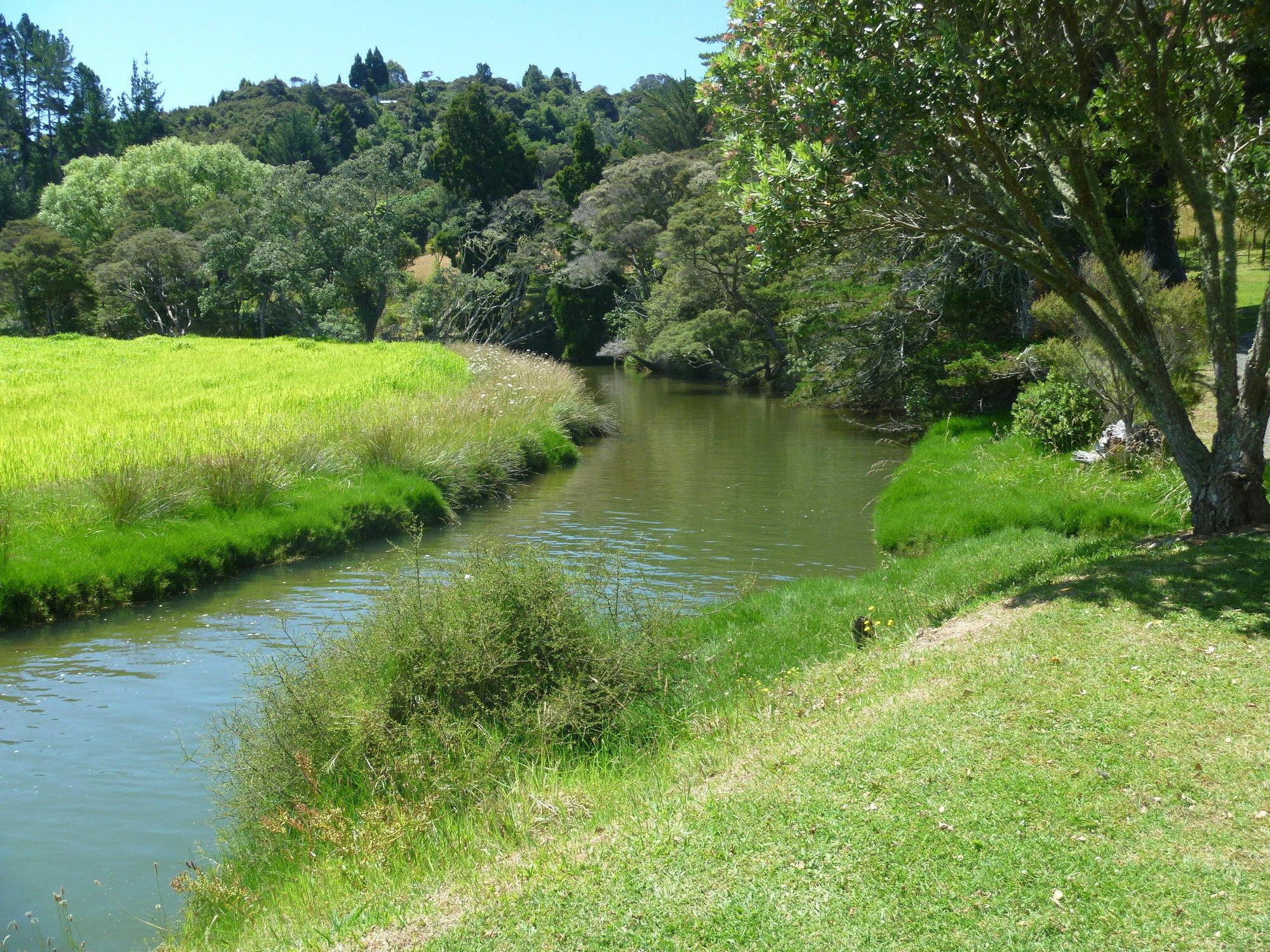 At Parkland Place B&B Whitianga Extérieur photo